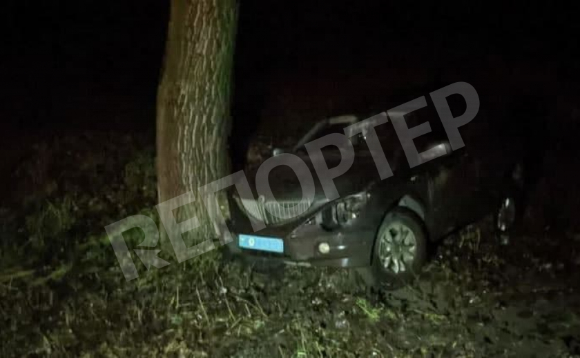 Под Апостолово полицейский автомобиль таранил дерево