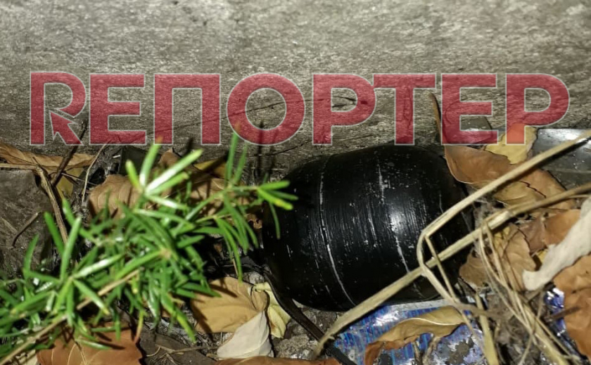 Бесстрашие или глупость: в Кривом Роге местная жительница обнаружила гранату и лично отнесла ее «подальше»