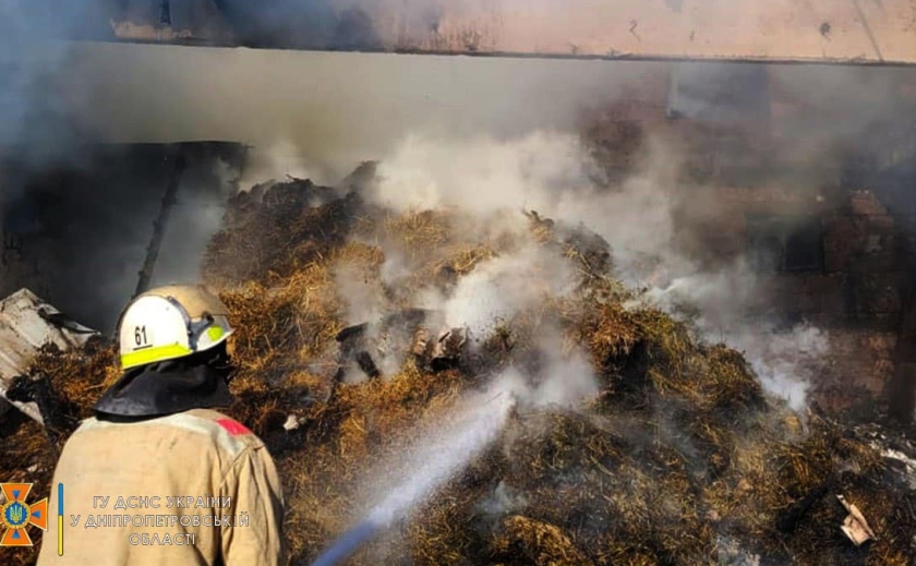 Сгорели 20 тонн сена: масштабный пожар в Днепропетровской области