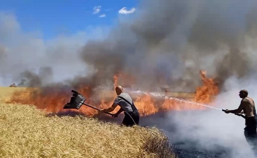 На 30% менше врожаю: пожежі на полях Криворізького району вплинуть на плодовитість ґрунту