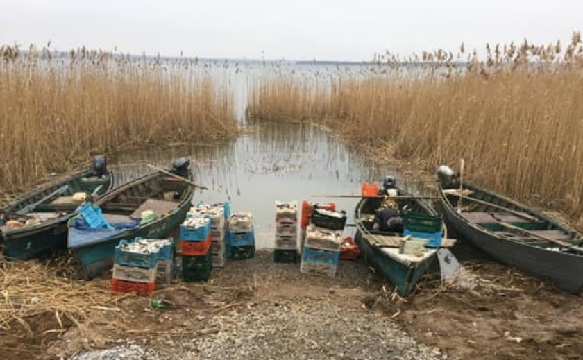 В Криворізькому районі рибпатруль вилучив майже 1,7 т безхазяйної риби