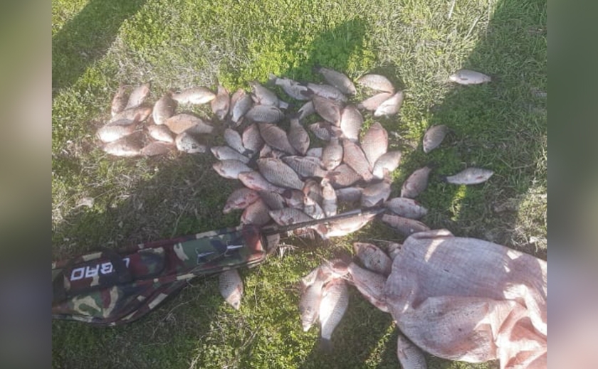 На Криворіжжі незаконно виловили риби більше ніж на 130 000 грн: деталі