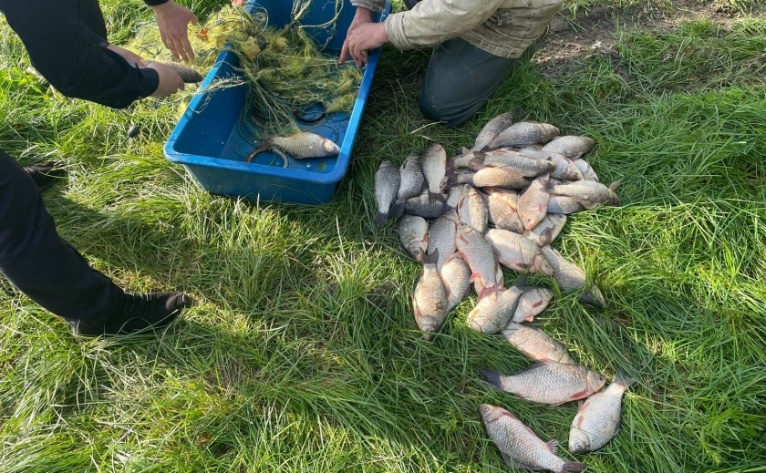 Рибалити заборонено: на Криворіжжі спіймали чоловіків зі 113 кг риби