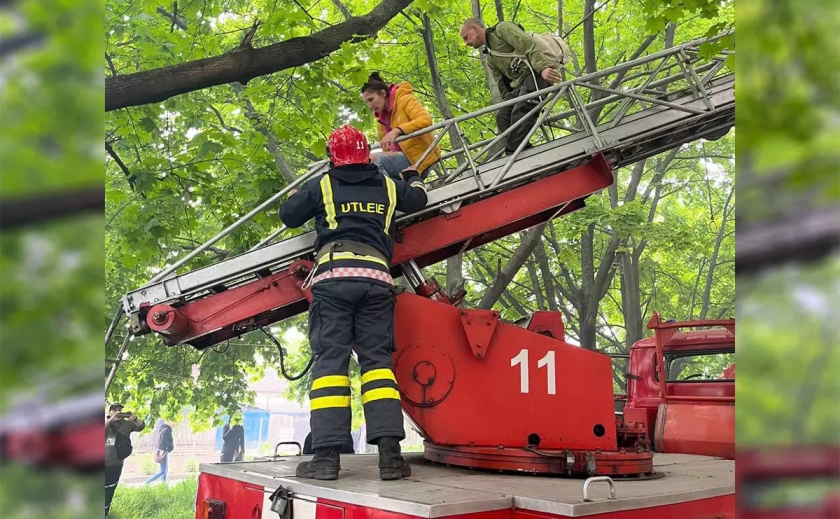 Масштабна пожежа у Кривому Розі: загинула жінка, 17 людей врятовані