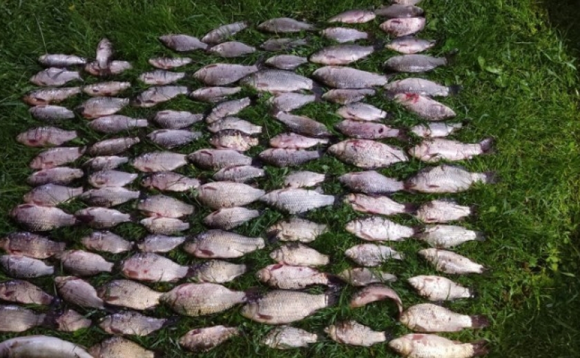 Виловили понад 100 рибин: у Кривому Розі поліцейські затримали браконьєрів на річці Саксагань