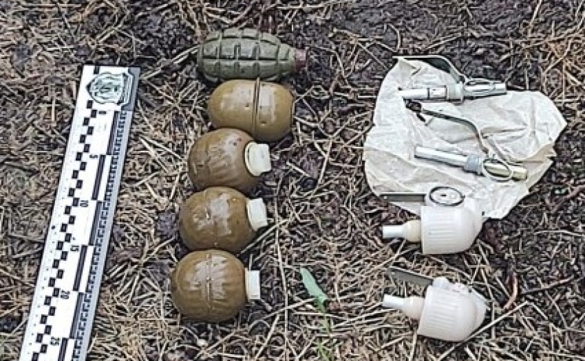 Продавав гранати: Криворізькі поліцейські викрили збувача боєприпасів