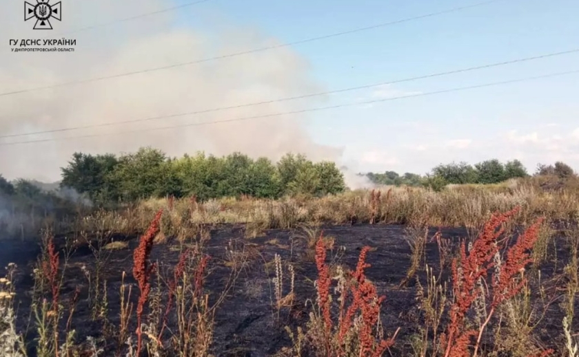 Горіла суха трава: у Криворізькому районі вогнеборці ліквідували пожежу в екосистемі