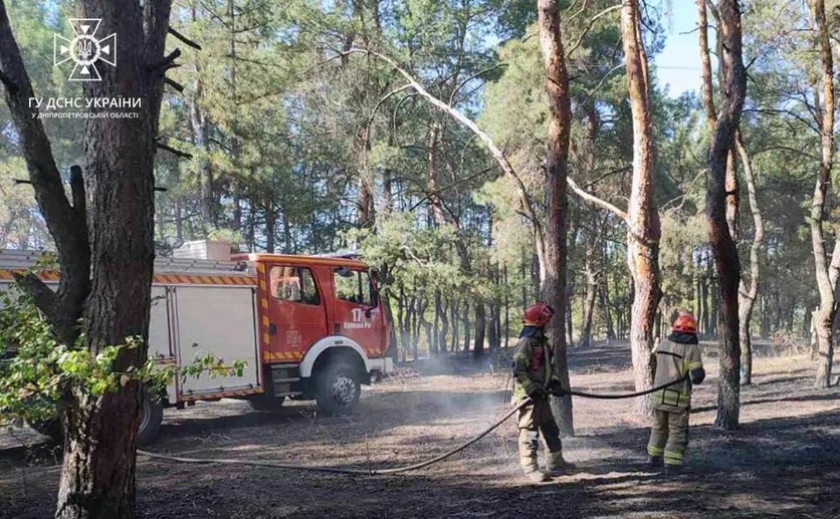 Криворізькі вогнеборці загасили пожежу на території лісового господарства