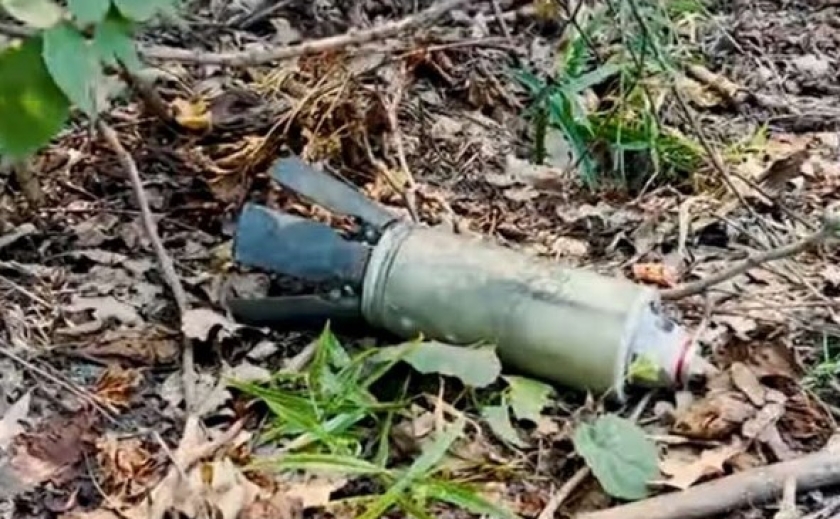 У Криворізькому районі знайшли касетний боєприпас біля водосховища