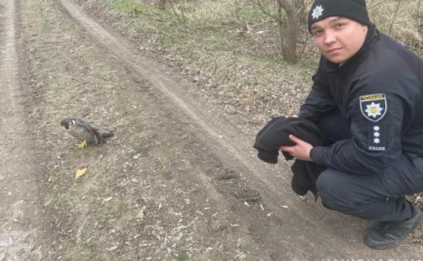 Криворізькі поліцейські врятували птаха зі зламаним крилом Криворізькі поліцейські врятували птаха зі зламаним крилом