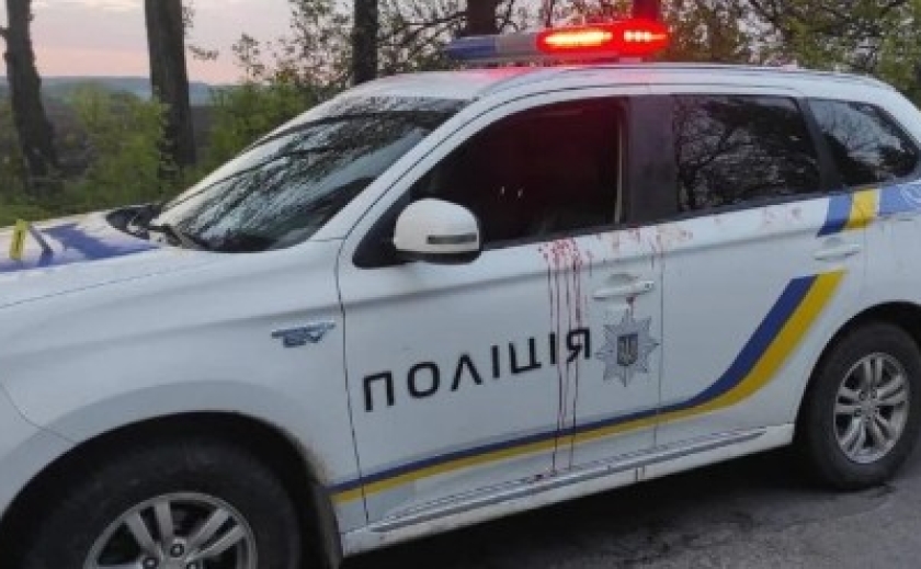У Кривому Розі водійка побила поліцейську, яка зупинила її для перевірки документів: що вирішив суд У Кривому Розі водійка побила поліцейську, яка зупинила її для перевірки документів: що вирішив суд