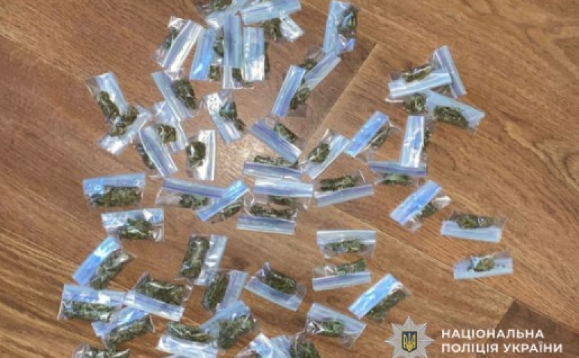 Криворізькі поліцейські викрили двох наркоділків у м. Апостолове