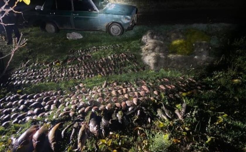 Наловили 167 кілограмів риби, використовуючи сітки: на Криворіжжі спіймали браконьєрів