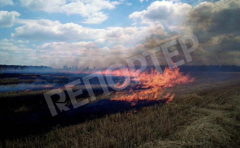 Полевые пожары подбираются к Пятихаткам и Кривому Рогу