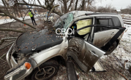 У Кривому Розі Suzuki влетіла у дерево: водія та пасажира госпіталізовано до лікарні