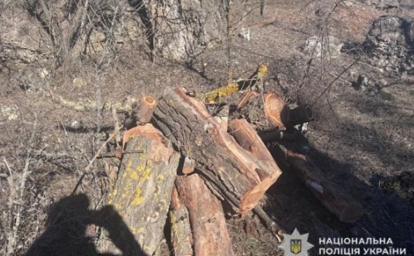 На Криворіжжі слідчі повідомили про підозру чоловіку за незаконну порубку дерев на території ландшафтного заказника