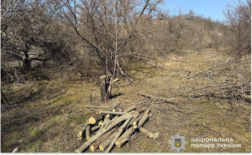 На Криворіжжі чоловіка підозрюють у незаконній вирубці дерев у заказнику