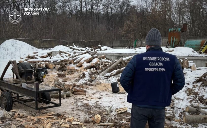 На Дніпропетровщині судитимуть трьох чоловіків за незаконну вирубку лісу на майже 2 млн грн