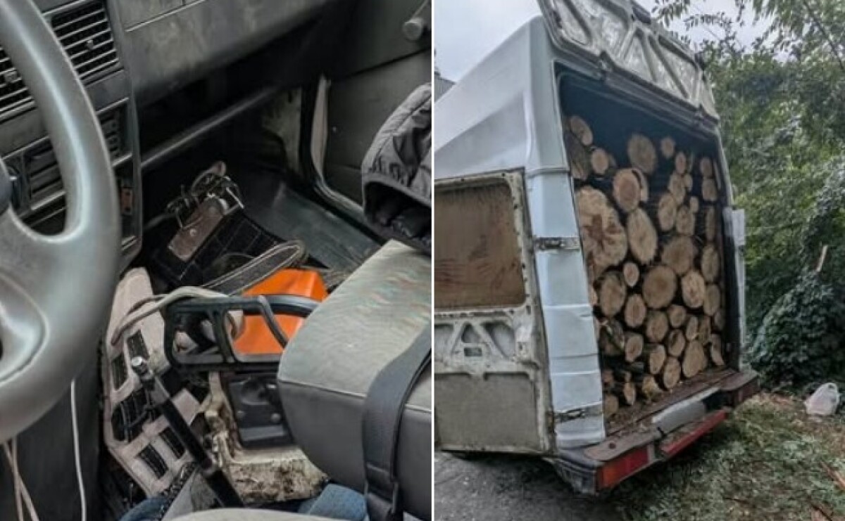 Небайдужі громадяни повідомили про спилювання дерев: у Кривому Розі затримали двох чоловіків